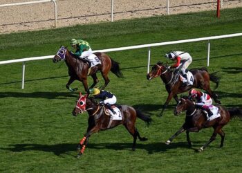 Aşevindeki kavurmadan yarış atı eti çıktı