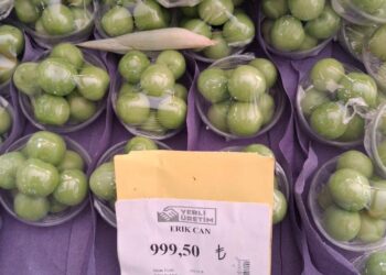 Mert Eren yazdı I Şaka değil gerçek; 1 kg erik 1000 lira oldu