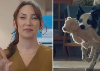 RTÜK’ten Bosch Anneler Günü reklamına inceleme
