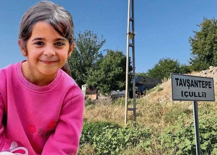 Muhtar amcası tutuklanmıştı: Narin Güran'ın köyünde muhtarlık seçimi yapılıyor 1 Muhtar amcası tutuklanmıştı: Narin Güran’ın köyünde muhtarlık seçimi yapılıyor
