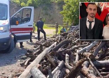 Tartıştığı eşini odunla döverek öldürdü