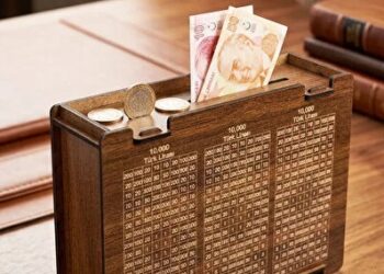 Emir Çelik yazdı I Mutfak harçlığından birikim hayal oldu