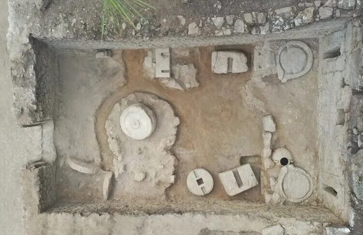 Antik zeytinyağı işliği yeniden ayağa kaldırıldı 1 Antik zeytinyağı işliği yeniden ayağa kaldırıldı