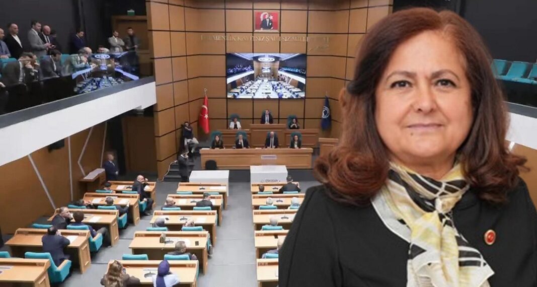 Anasayfa 65 CHP’nin kazandığı başkanvekilliği seçimine mahkemeden yürütmeyi durdurma kararı
