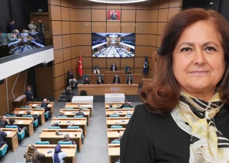 CHP’nin kazandığı başkanvekilliği seçimine mahkemeden yürütmeyi durdurma kararı 1 CHP’nin kazandığı başkanvekilliği seçimine mahkemeden yürütmeyi durdurma kararı