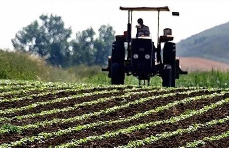 Tuna Cevher yazdı I İklim değişiyor, tarımın hesabı bozuluyor 1 Tuna Cevher yazdı I İklim değişiyor, tarımın hesabı bozuluyor