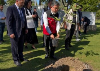 Tarım Bakanı Yumaklı'nın fidanı saksıyla dikmeye çalışması gündem oldu 2 Tarım Bakanı Yumaklı’nın fidanı saksıyla dikmeye çalışması gündem oldu