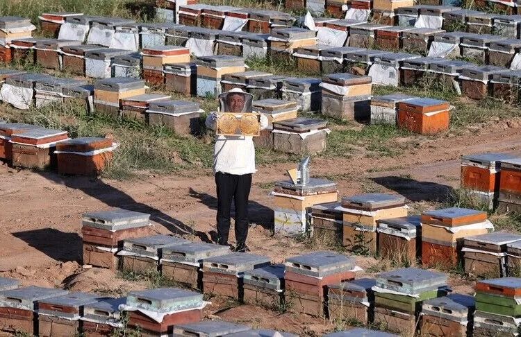 Bakan Yumaklı: Bal üretiminde dünyada ikinci sıradayız, birinci sırayı zorluyoruz 1 Bakan Yumaklı: Bal üretiminde dünyada ikinci sıradayız, birinci sırayı zorluyoruz