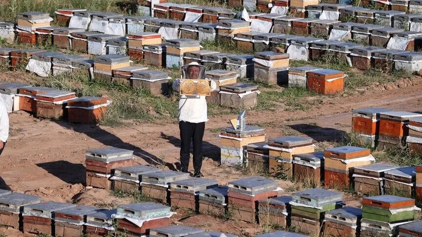 Anasayfa 65 Bakan Yumaklı: Bal üretiminde dünyada ikinci sıradayız, birinci sırayı zorluyoruz