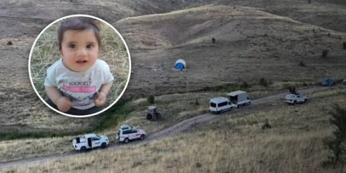 Anasayfa 65 Kayıp Büşra bebek soruşturmasında gözaltı sayısı 10’a yükseldi