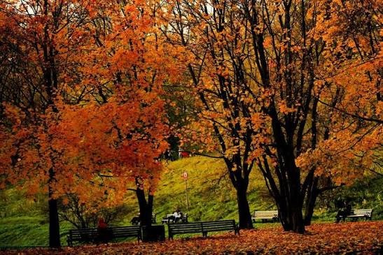 H. Agah Kalender yazdı I “Eylüldü… Savruluşu bundandı…” 1 H. Agah Kalender yazdı I “Eylüldü… Savruluşu bundandı…”