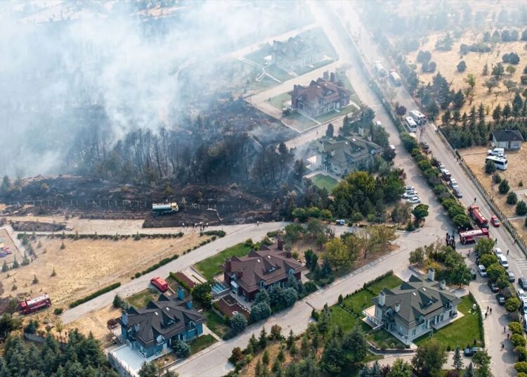 Ankara'da ormanlık alanda çıkan yangın söndürüldü 1 Ankara’da ormanlık alanda çıkan yangın söndürüldü