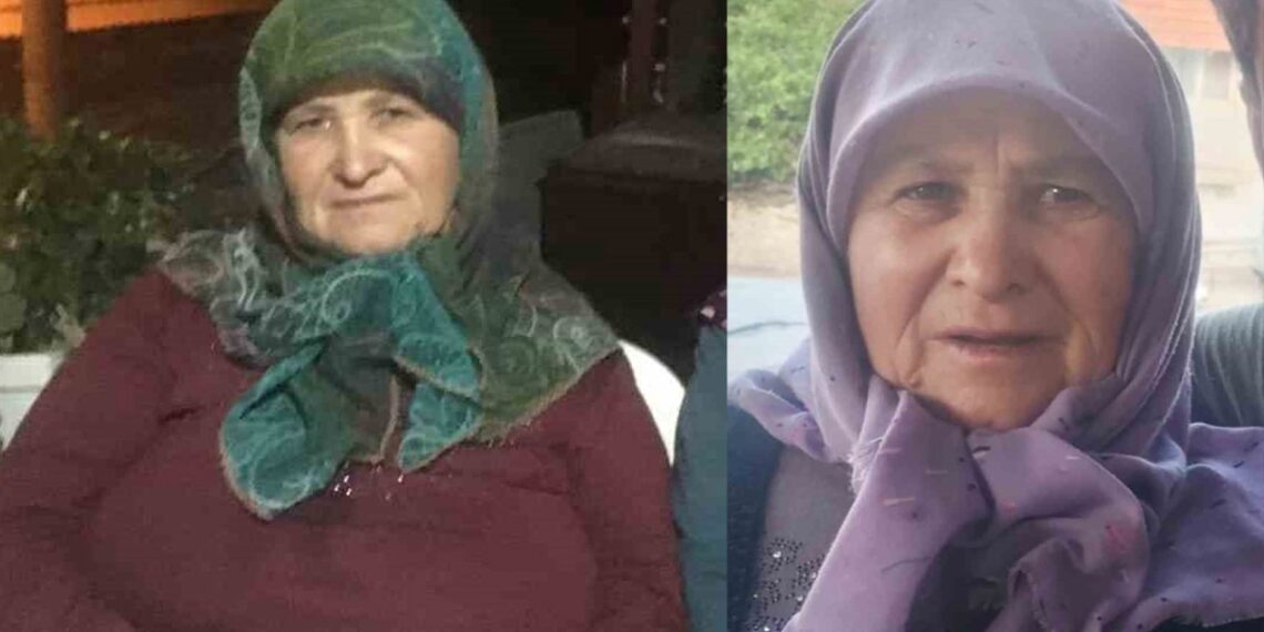 Yaşlı kadını cinsel taciz sonucu öldürmüştü: Cezası belli oldu