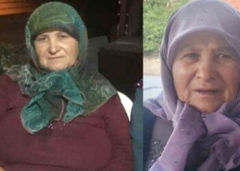 Yaşlı kadını cinsel taciz sonucu öldürmüştü: Cezası belli oldu 2 Yaşlı kadını cinsel taciz sonucu öldürmüştü: Cezası belli oldu