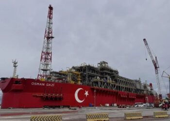 Erdoğan: Her 3 haneden biri yerli doğal gaz kullanacak